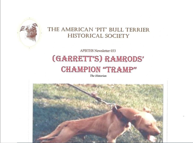 033 ramrods ch tramp ROM