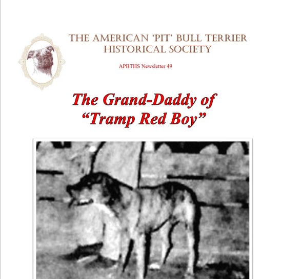 049 the granddaddy