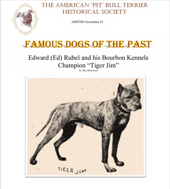 061 Rubel Ch Tiger Jim