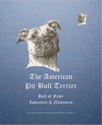 Hall Of Fame Cover 