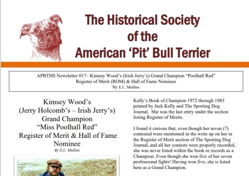 newsletter 017