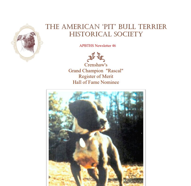 newsletter 046