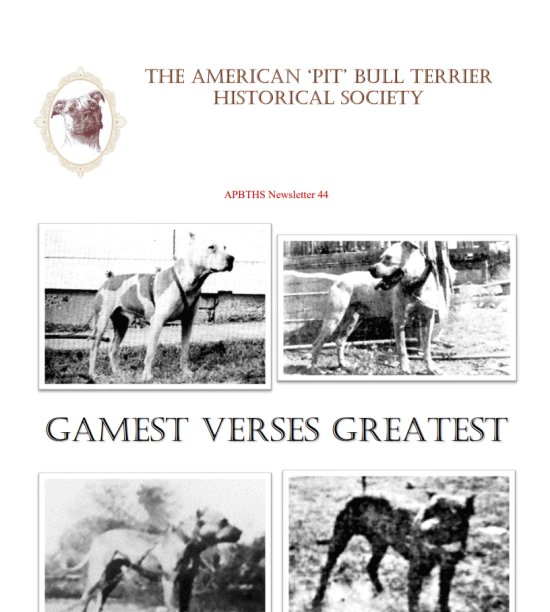 newsletter  044