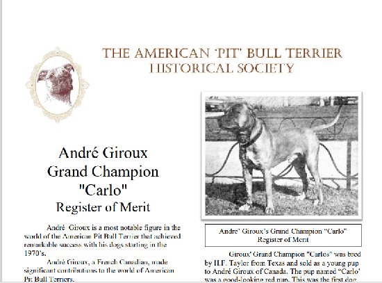 newsletter039