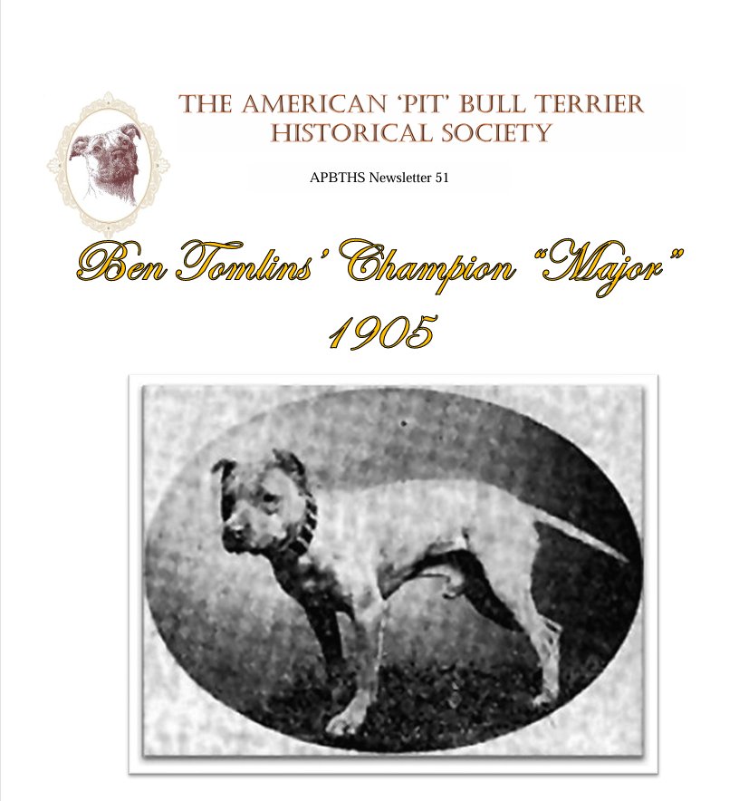 newsletter051