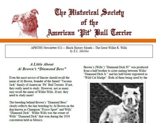newsletter_021_BlackHistoryMonth_500