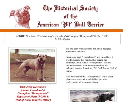 newsletter 023 500