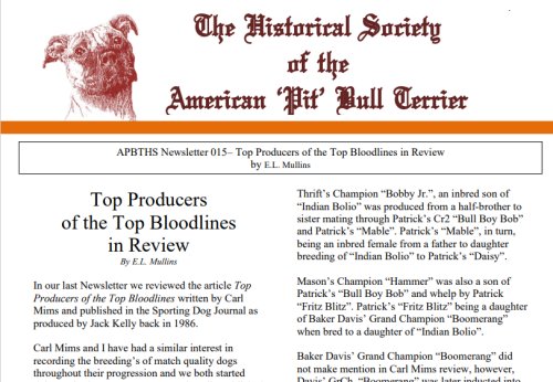 newsletter 15